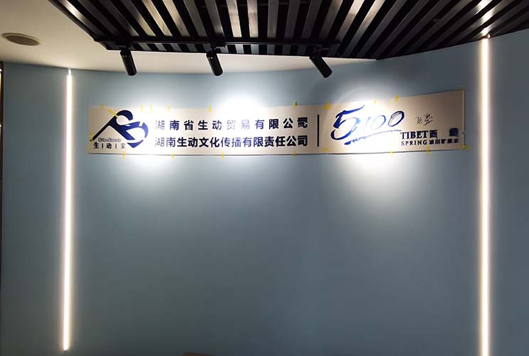 ���������w��