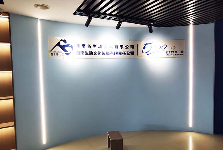 �L(zh��ng)ɳ����