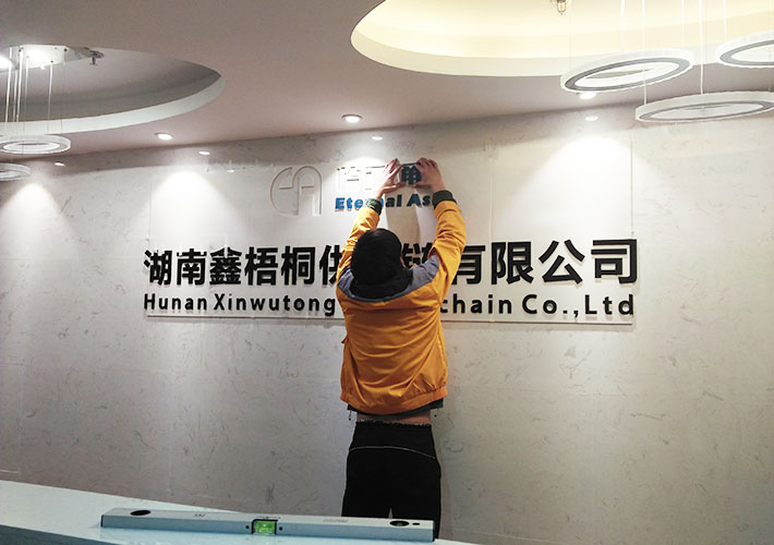 �Lɳ��˾������